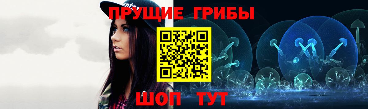 Россия  Псилоцибиновые грибы Psilocybe  как найти   Вход с VPN 